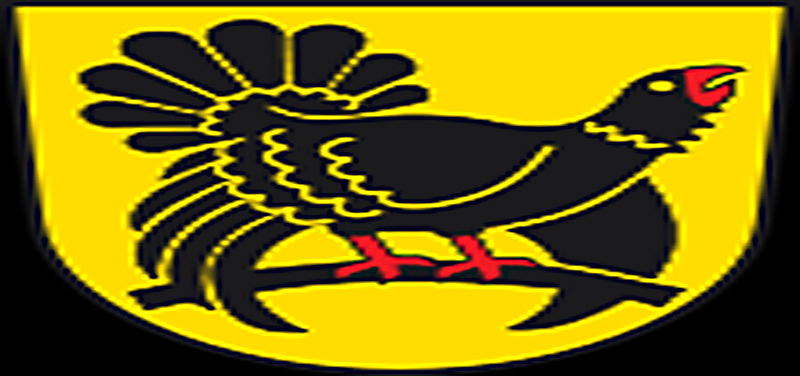 Wappen Freudenstadt